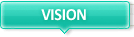 VISION